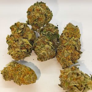C4L1Sp4in